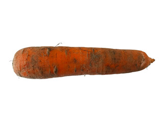 carrot isolated on white background