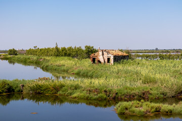 Abandoned country house in Rosolina in Parco del Delta del Po in Veneto, Italy. Untouched wetlands and nature in Po Delta. Wilderness on Via delle Valli. Large lake in serene unspoiled natural habitat