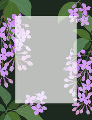 Rectangle frame with purple lilac flowers and plants on a dark background. Vector Illustration.
