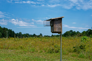 Eastern bluebird house in a prairie