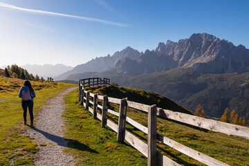 Hiker woman on scenic hiking trail along wooden fence on alpine meadow. View of massive mountain...