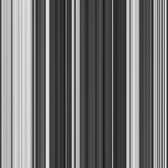 Obraz premium Black and white stripe abstract background. Motion effect. Grayscale fiber texture backdrop and banner. Monochrome gradient pattern and textured wallpaper.