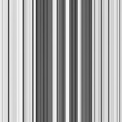 Obraz premium Black and white stripe abstract background. Motion effect. Grayscale fiber texture backdrop and banner. Monochrome gradient pattern and textured wallpaper.