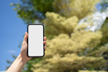 Women hand holding mobile phone with trees background in day time. White empty space mobile display. Smartphone blank screen mock up image.