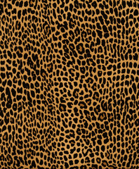 leopard pattern in palatial ebony