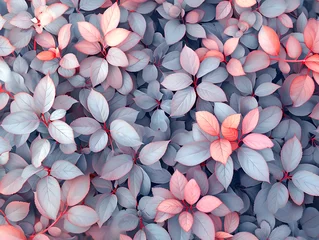 Foto op Aluminium pastel colorful leaves background pattern © Kinga