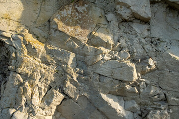 This image is a close-up study of a section of cliffside rock, showcasing the intricate textures and layers formed over geological time. The play of light and shadow emphasizes the rugged surface and