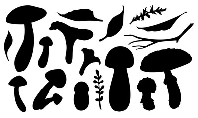 Mushrooms Silhouette set. Vector illustration of fungus painted by black inks on white background. Drawing of boletus and fly agaric. Sketch of forest porcini and champignons.