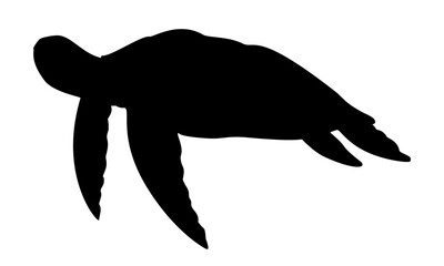 Sea Turtle silhouette. Vector illustration of undersea Tortoise on isolated background. Nautical drawing of underwater animal painted by black inks for icon or logo. Sketch of reptile.
