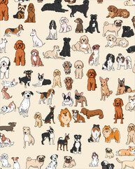 Different type of vector cartoon dog breeds for design
