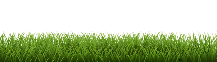 Foto op Canvas Green Grass Border Isoalated White Background © barbaliss
