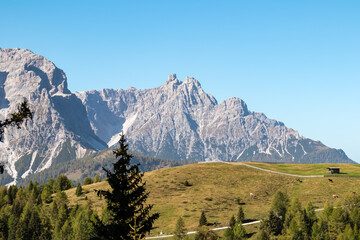 Herd of wild horses grazing on alpine meadow with scenic view of Haunold in Sexten Dolomites, South Tyrol. Idyllic landscape on Klammbachalm (Malga Klammbach) in Italian Alps. Serene atmosphere