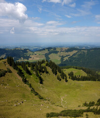 Panorama in den Allgäuer Alpen mit grünen Hügeln und Waldstücken