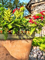 rural countryside life scene with flower pot in the garden. 