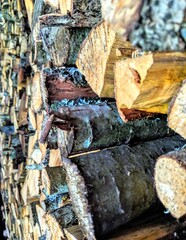 stack of firewood in the barn at countryside.