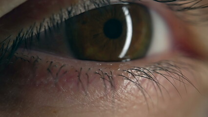 Detail macro close up of eyeball iris pupil in focus, extreme intense stare gaze