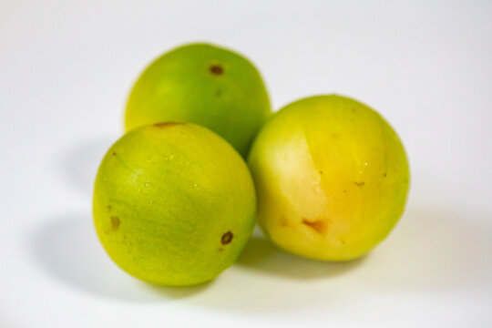 Ripe umbu fruit (Spondias tuberosa). Typical of the hot regions of Brazil