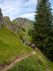 Obraz premium Gruppe von Wanderern auf schmalem Pfad im Allgäu-Gebirge