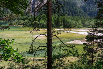 Scenic view of crystal clear turquoise water of alpine Lake Predil in Julian Alps, Tarvisio, Friuli Venezia Giulia, Italy. Tranquil scene in summer. Alpine landscape with lush forest, border Slovenia
