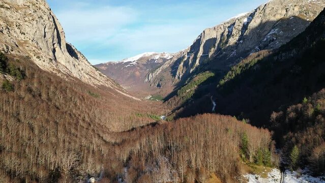 A drone flies over a winter forest with bare trees and large mountains around