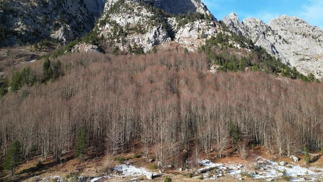 The camera rises from the snow-covered forest to the sharp mountain peaks