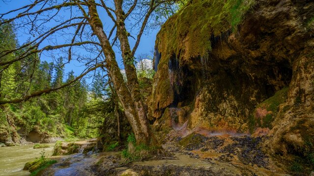Die Schleierf&auml;lle sind ein Wasserfall in der Ammerschlucht in Bayern. Sie sind als Geotop ausgewiesen und stehen als Naturdenkmal unter Naturschutz.