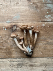 Mushrooms of honeydew are lying on a wooden table. View from above. Copy space