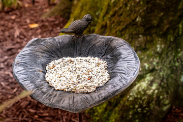 Birdfeeder statue filled with bird seed, garden ornament
