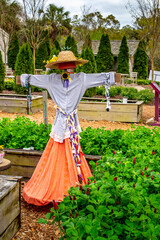 Garden scarecrow dressed in brightly colored skirt and shirt with straw hat
