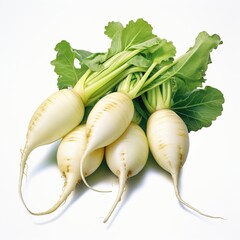 A bunch of fresh white radishes with green leaves