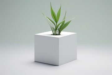 A 3D rendering of a plant growing out of a white cube