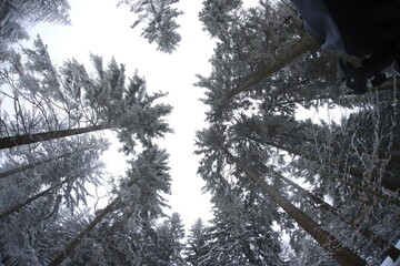 Wide angle winter shot in sudety mountains - obrazy, fototapety, plakaty