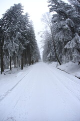 Wide angle winter shot in sudety mountains