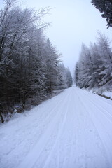 Wide angle winter shot in sudety mountains