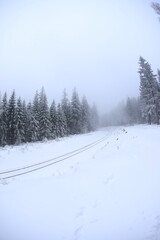 Wide angle winter shot in sudety mountains
