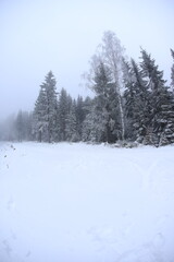 Wide angle winter shot in sudety mountains