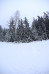 Wide angle winter shot in sudety mountains