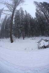 Fototapeta premium Snowy road in Sudety mountains, Poland