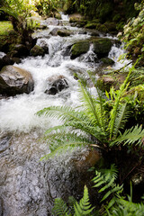 Pequena cachoeira, Visconde de Mau&aacute;, Rio de Janeiro