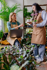 Vertical shot of store owner middle age blond female business woman using laptop working taking care of the plants in pot her Korean assistant helping doing inventory at cozy plant store.