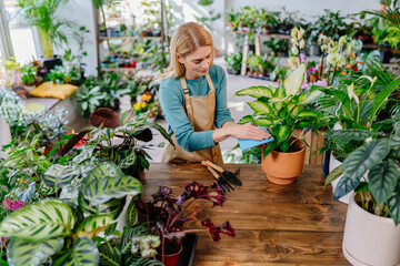 Floral Mastery. Middle-Aged Businesswoman, Apron-Clad, Meticulously Clearing Dust from Leaves in...