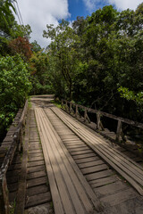 Ponte de madeira na divida de Minas Gerais e Rio de Janeiro sobre as corredeiras do Rio Preto, Visconde de Mauá, Rio de Janeiro, Brasil