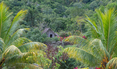 Jardins de la Savane aux esclaves aux 3 îlets, Martinique. Jardins exotique des Antilles...
