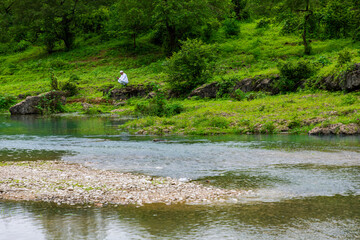 autumn season in Salalah, Oman. which is start from June to mid-September.