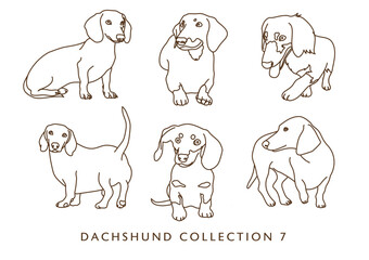 Dachshund Weiner Dog Illustration - Outlines - Many Poses - Collection 6