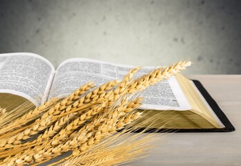Ears of barley and holy bible, Christian spiritual