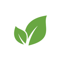 Leaf Logo Design Template