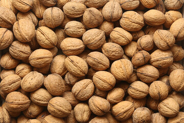 Unshelled walnuts in shells lie in an even layer on the table