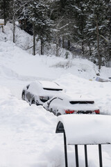 The cars are parked in the middle of the snowdrifts, covered with snow.