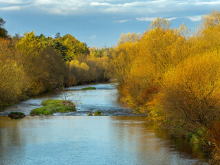 The Vistula River near the source, Upper Silesia, Poland